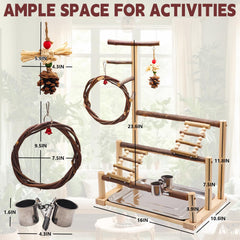 Kaliswell Bird Playground climbing ladder for exercise and exploration