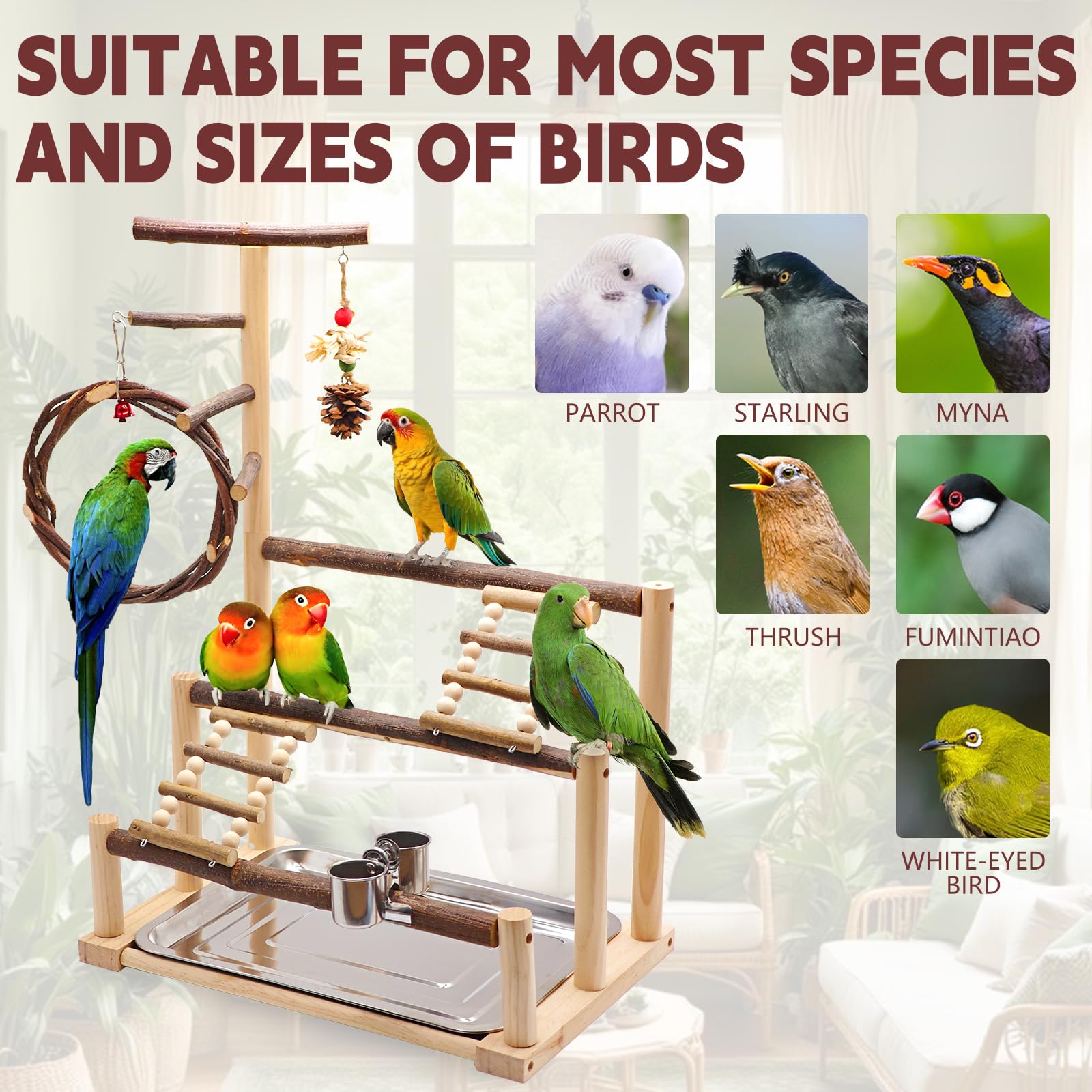 Kaliswell Bird Playground multiple perches and platforms for varied views