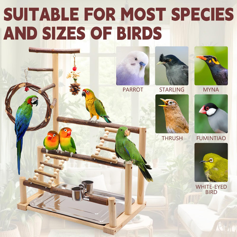 Kaliswell Bird Playground multiple perches and platforms for varied views