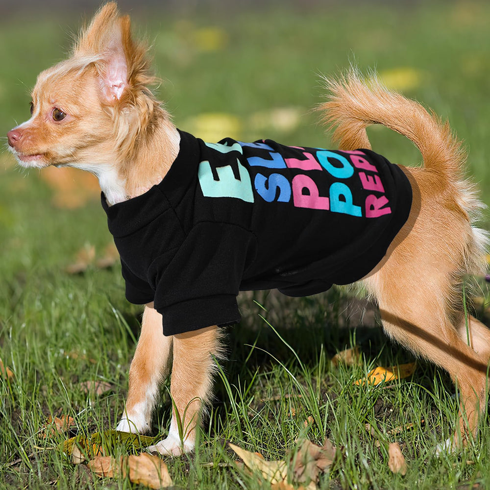 Kallfir's cutie XXS dog walk-ready apparel for outdoor photoshoots.