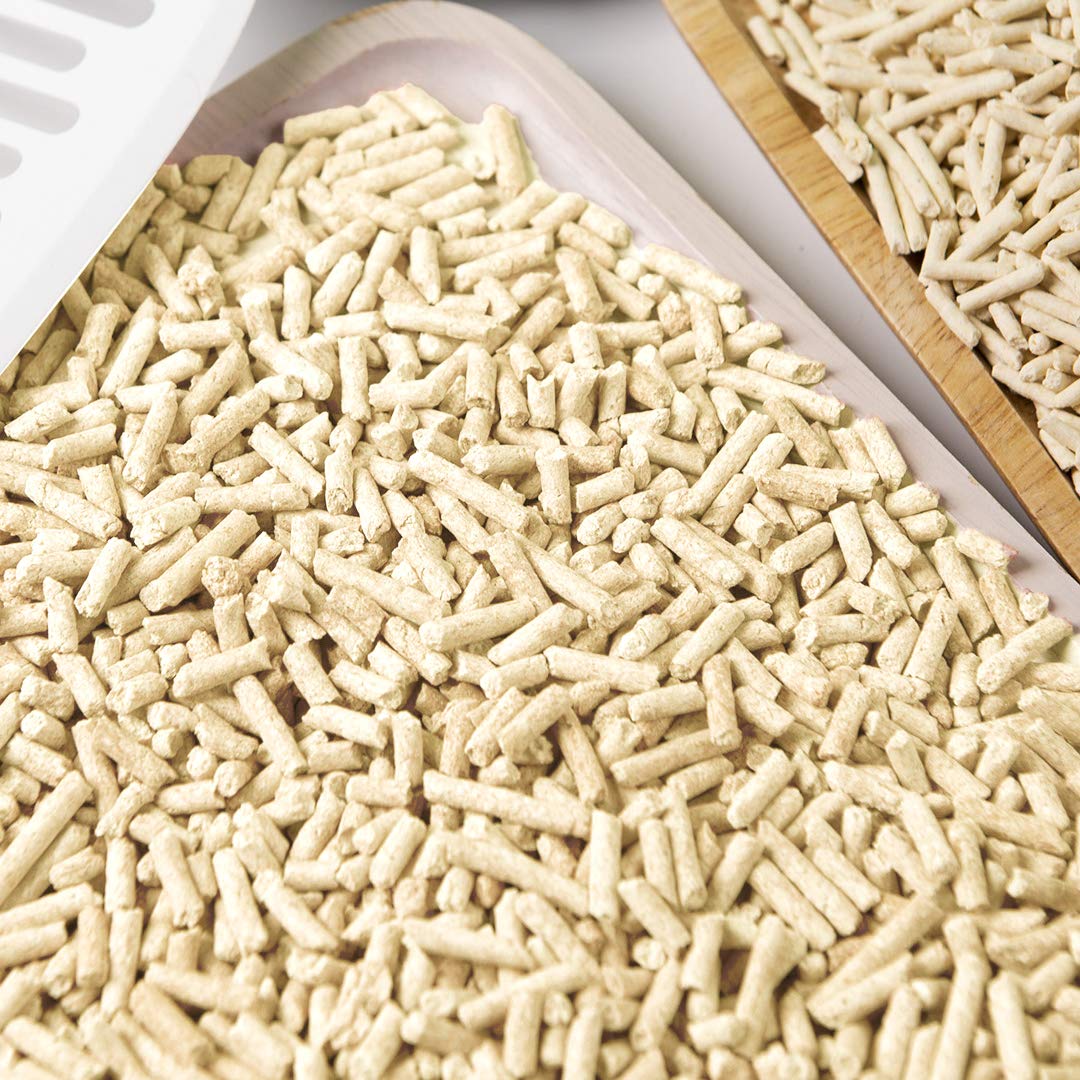 I AM TOFU bag open reveals plant-based formula ready for everyday use.