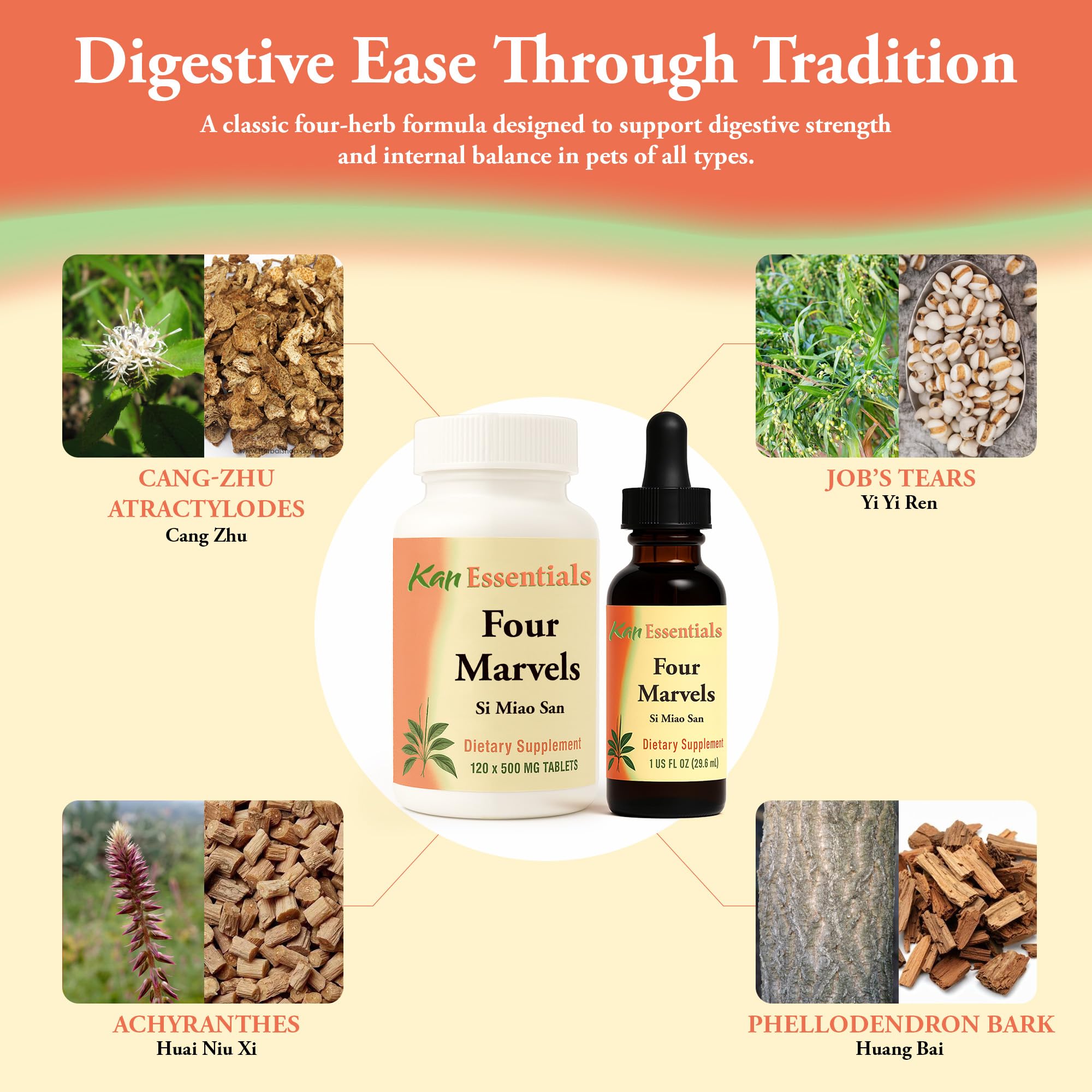 Cat benefiting from the herbal blend to aid balanced digestion.