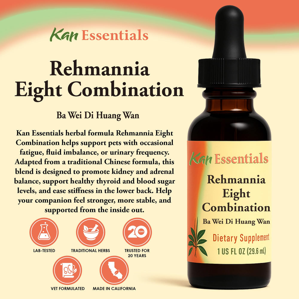Kan Herb Rehmannia Eight pour view showing easy dosing
