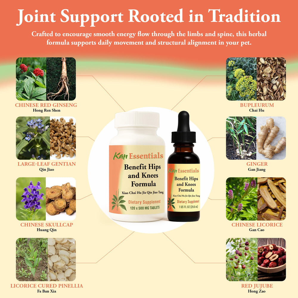 Kan Herbs digestive balance tablets complement joint wellness for pets