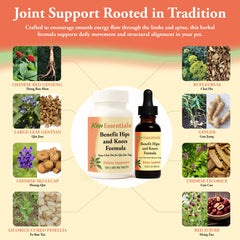 Kan Herbs digestive balance tablets complement joint wellness for pets
