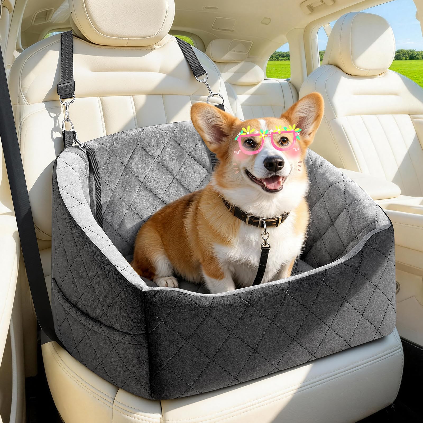 KANGREST dog seat converts to a cozy bed when detached