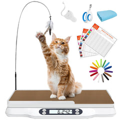 Kanmeii pet scale front view for quick, precise pet weigh-ins