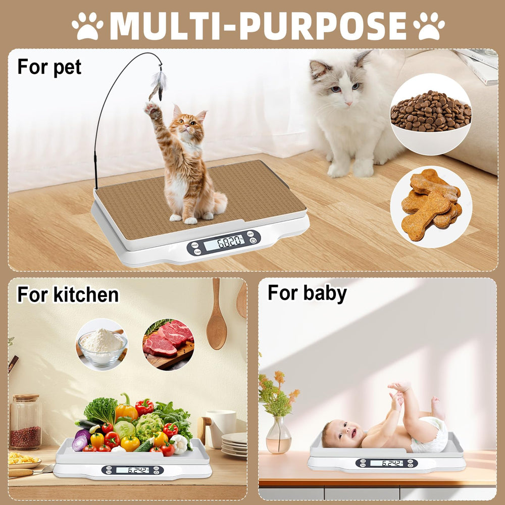 Kanmeii cat teaser stick included to encourage cooperation during weighing