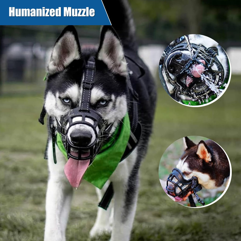 Kanuoc wearing guide helps introduce the muzzle calmly and effectively.