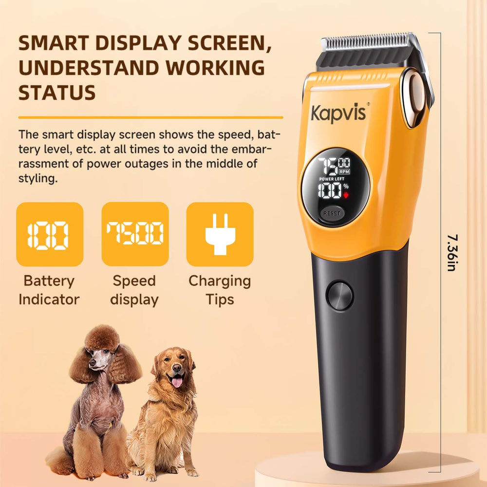 Kapvis smart display with low-noise operation for calmer grooming sessions.