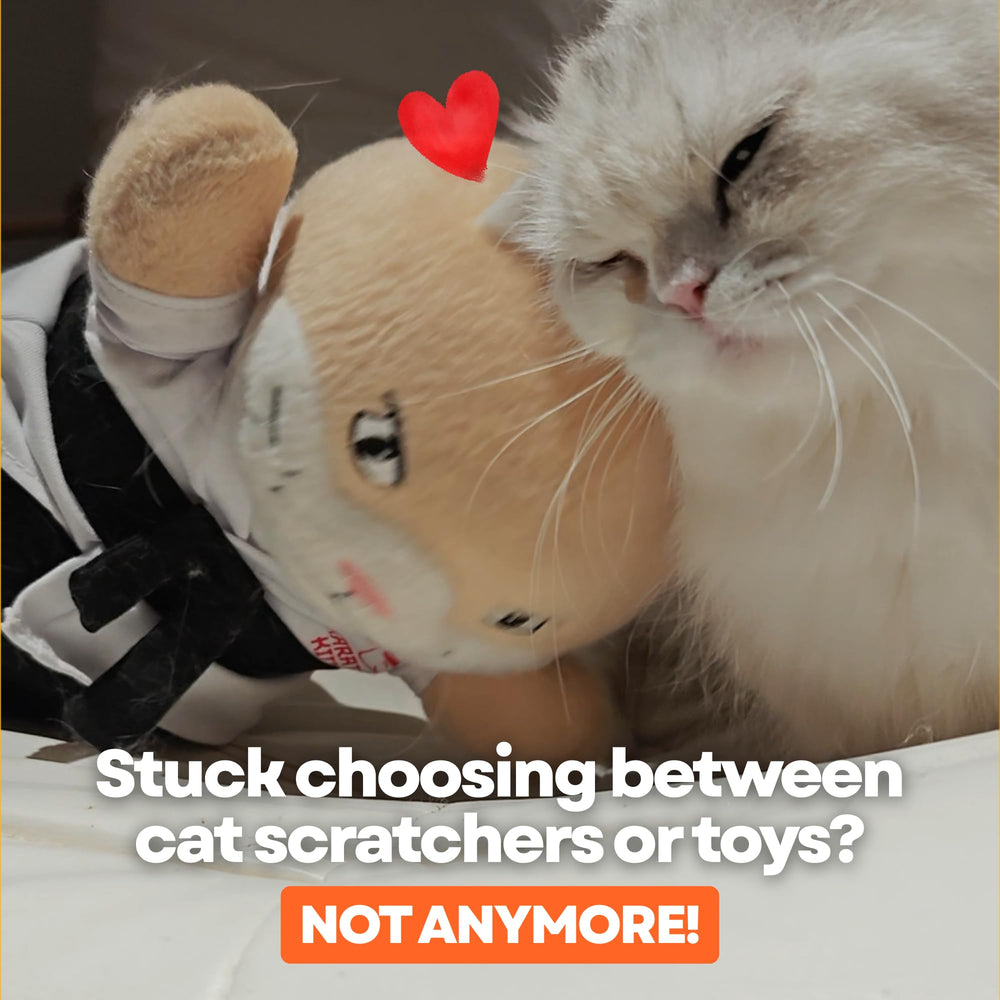 Karate Kitty boxing-wrestling play fuels energy and mental curiosity.