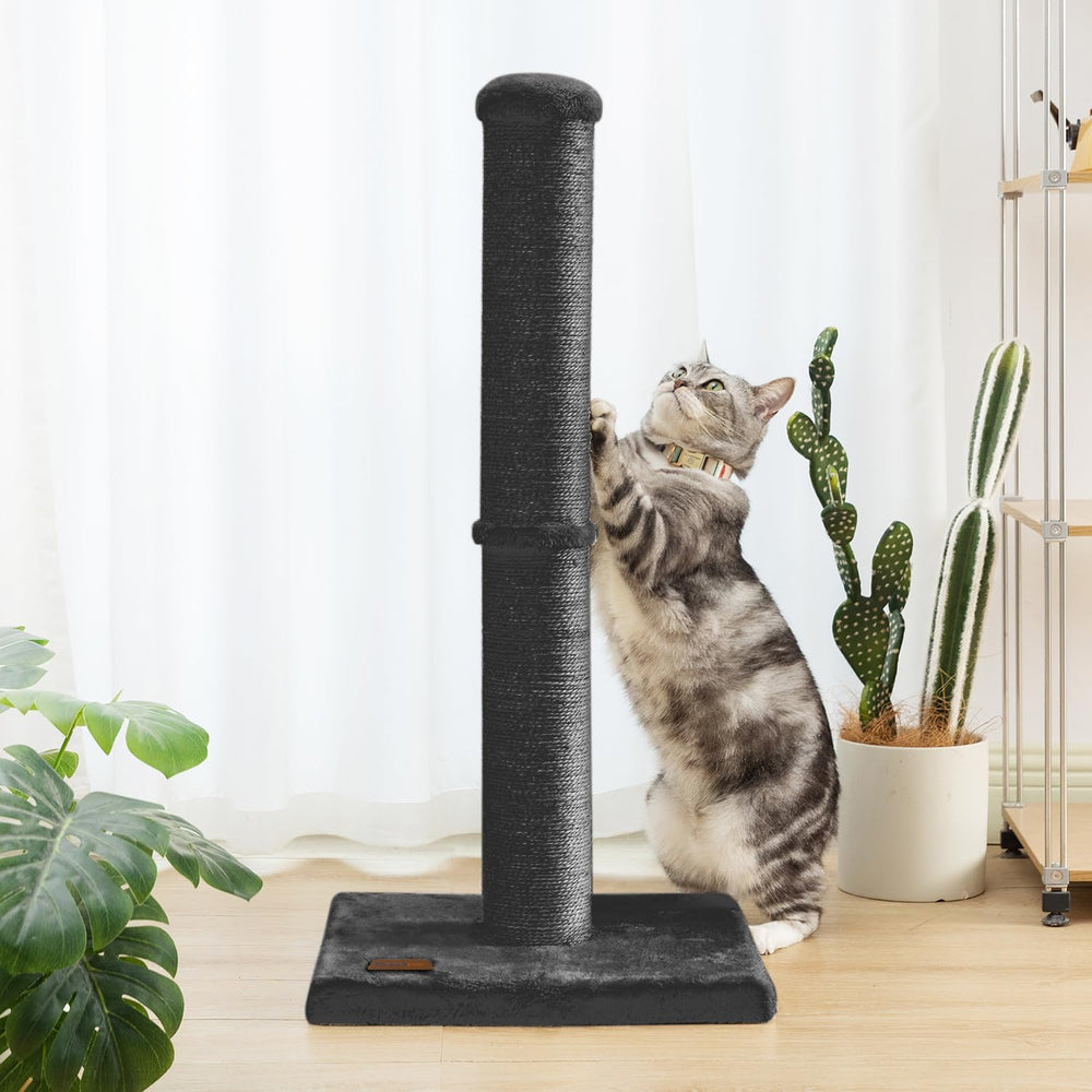 Karolpar cat using the post in an indoor setting for scratching and play.