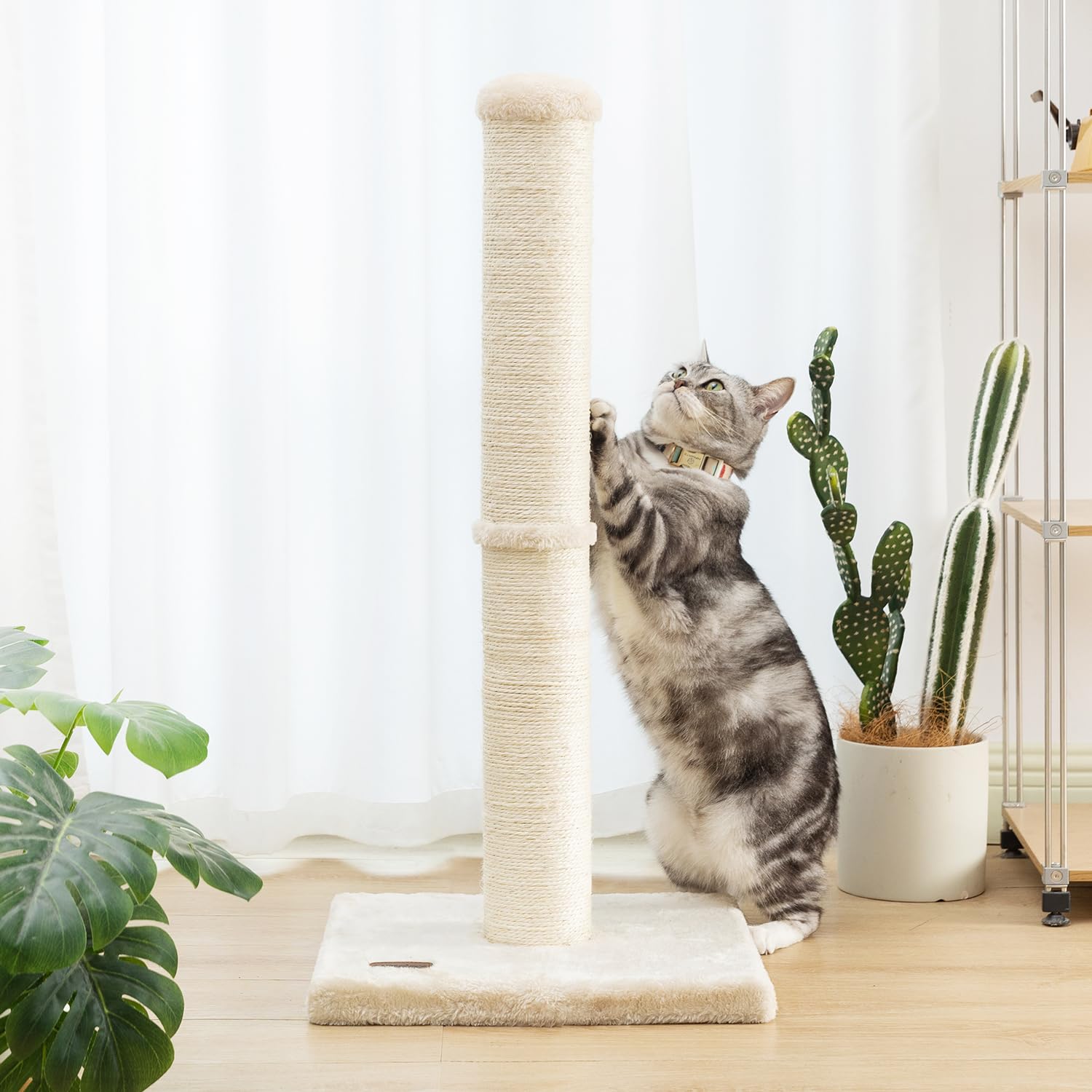 Karolpar durable cat post for long-term use in busy homes.