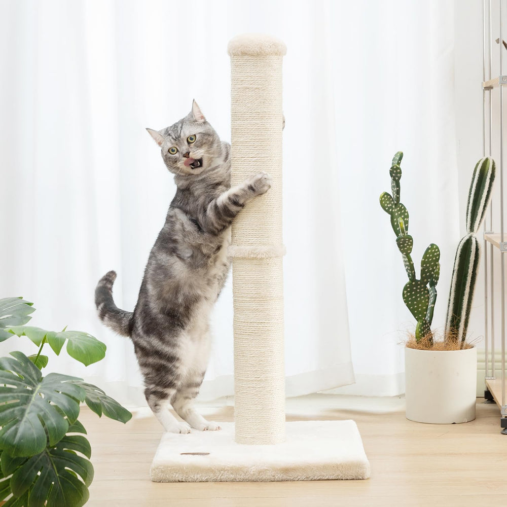 Karolpar large diameter sisal post supports bigger cats during stretching.