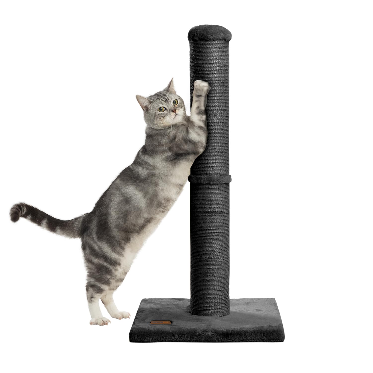Karolpar black finish scratching post fits modern home decor.