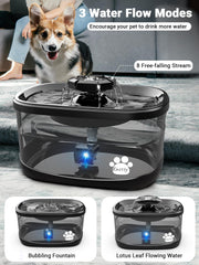 Kastty cat fountain featuring flower spouts for hydration and appeal.