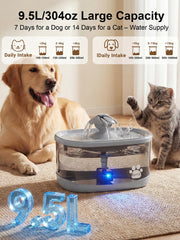 Kastty dog water fountain shown with three flow modes for sipping.