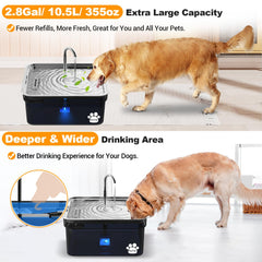 Kastty dog water fountain stainless-steel construction for durability and easy cleaning.