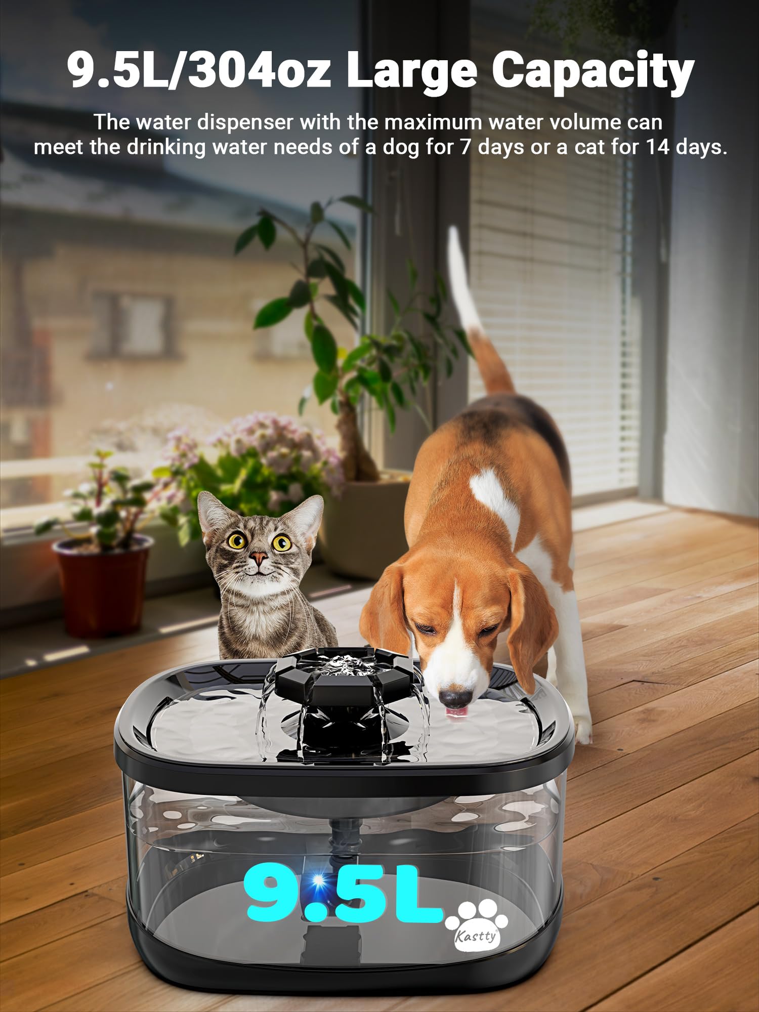 Kastty dog fountain showing two flow modes to encourage drinking.