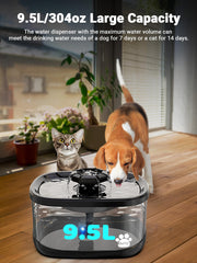 Kastty dog fountain showing two flow modes to encourage drinking.