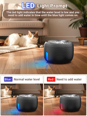 Kastty LED water level indicator guides you and helps monitor levels in low light.