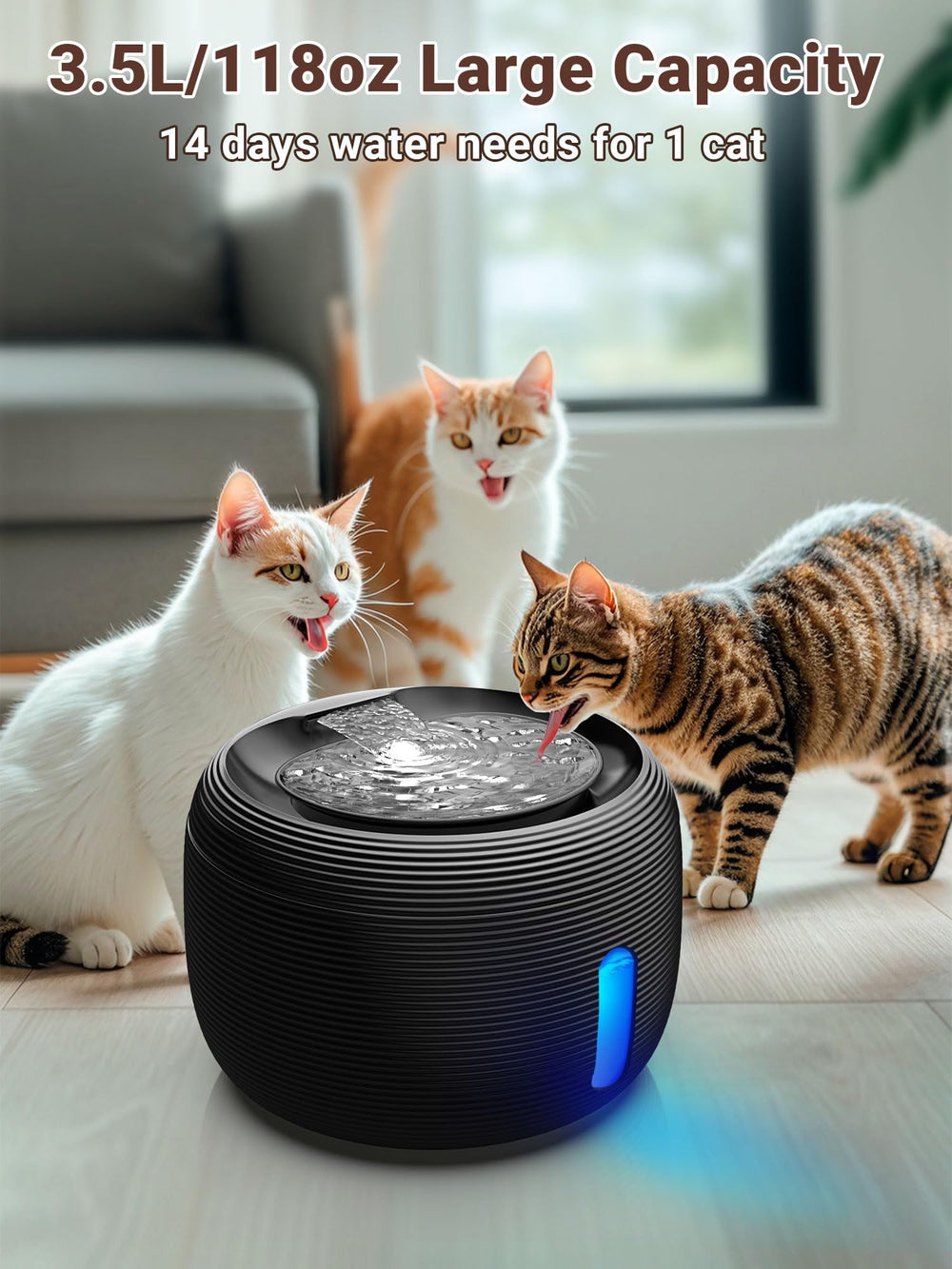 Kastty multi-layer filtration cleans water by removing debris for pet drinking.