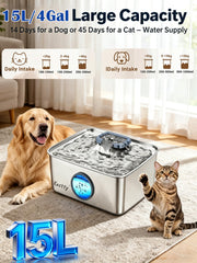 Kastty stainless steel dog bowl emphasizes durability and easy cleaning.