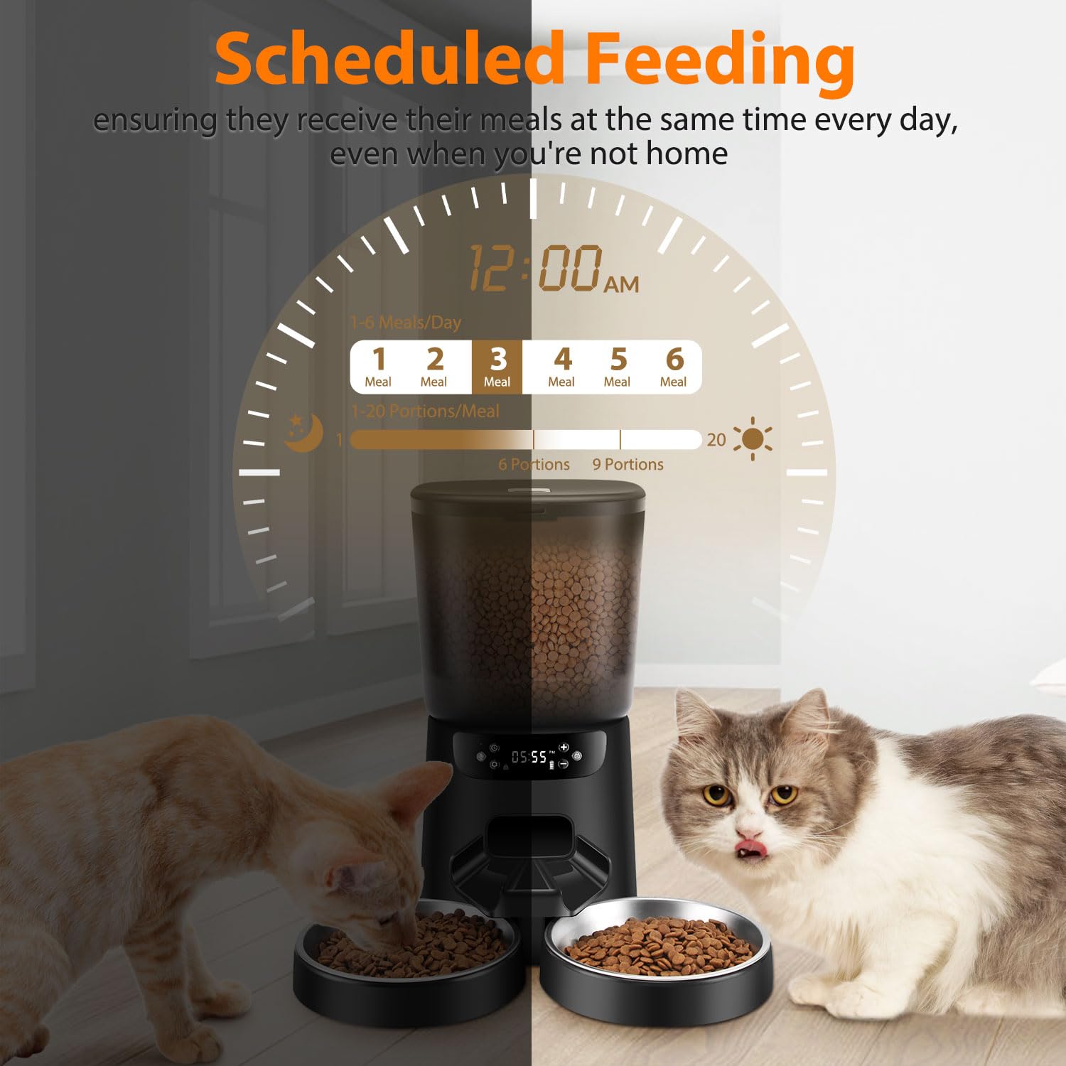 KATALICLAB control panel displaying timer settings for scheduled feeding.