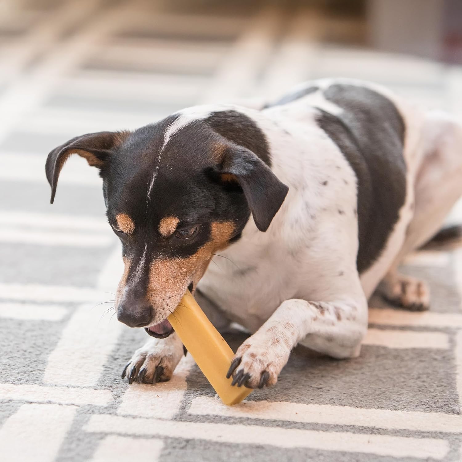KATHMANDU'S Himalayan cheese for dogs, foothill-sourced flavor and premium texture.