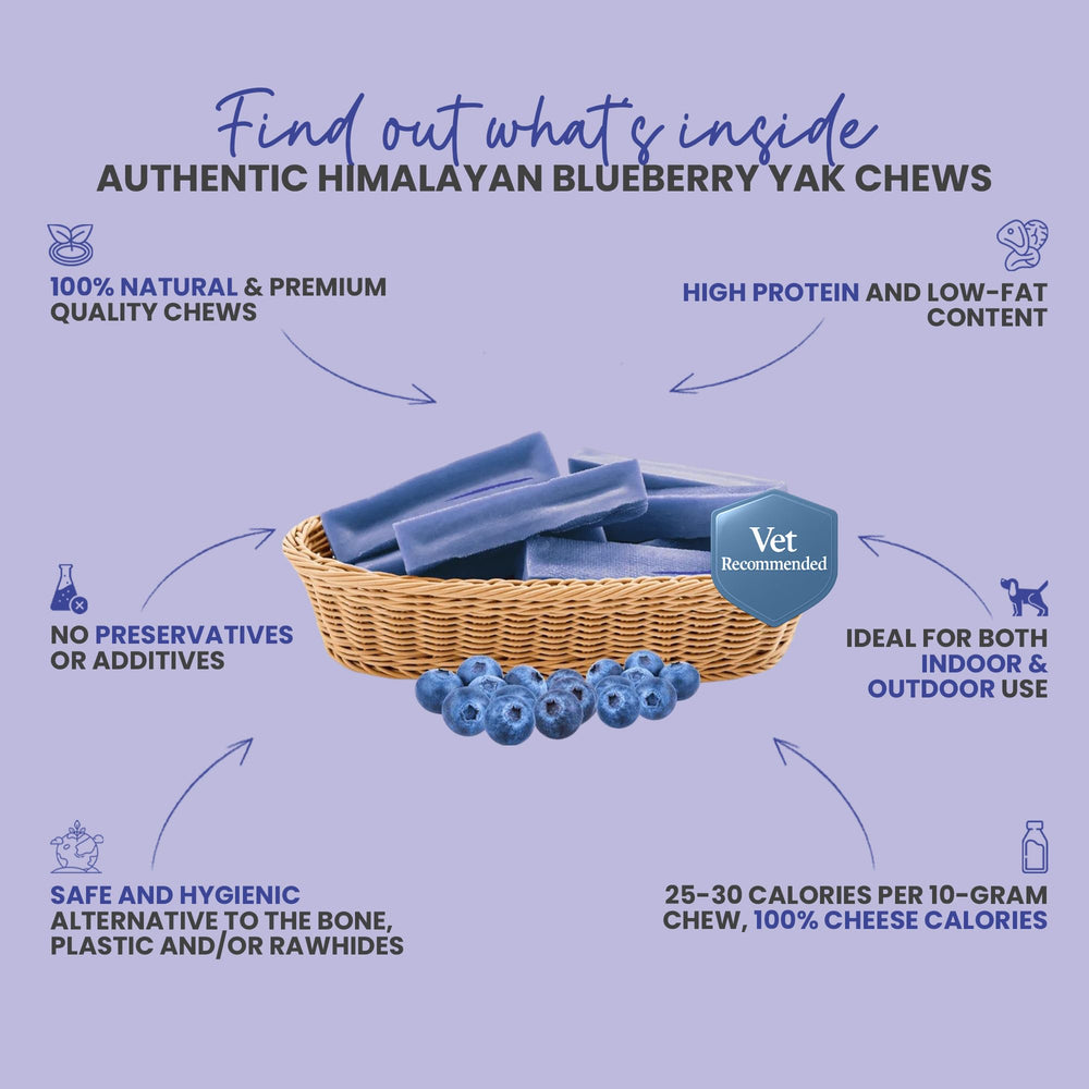 KATHMANDU'S Blueberry Yak Chews ingredients panel highlights simple natural recipe.