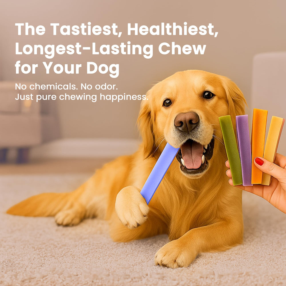 KATHMANDU'S Blueberry Yak Chews large dog use scenario.