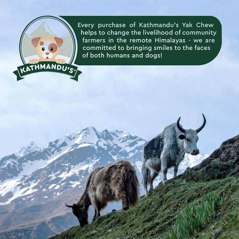 KATHMANDU'S dog chews, yak cheese suitable for indoor and outdoor use.