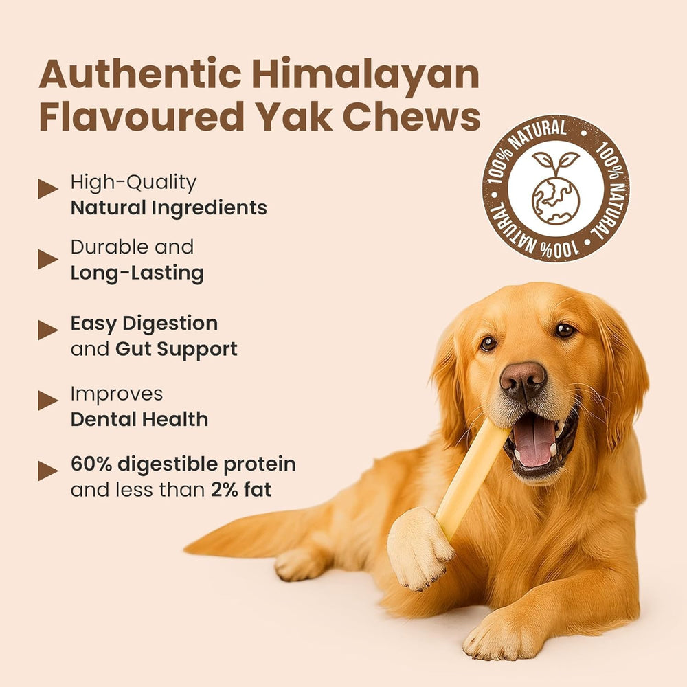 KATHMANDU'S yak-chews-rawhide-free, safe alternative for persistent chewers
