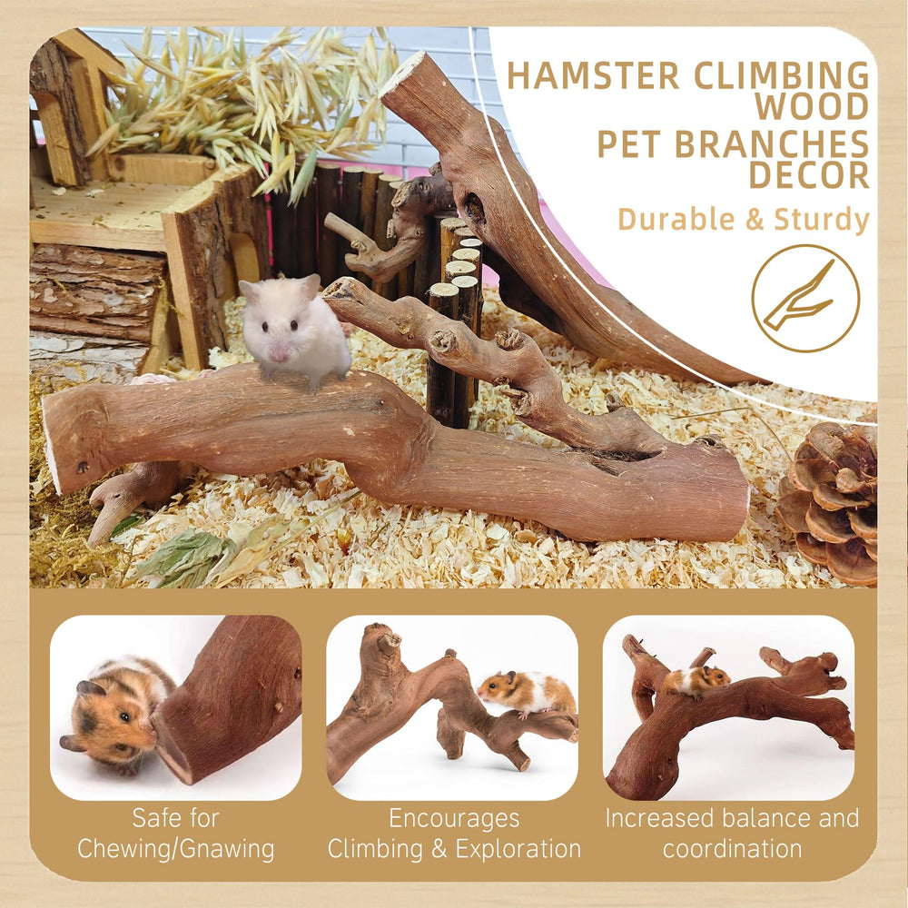 Kathson 7-8 inch branch provides compact climbing space for Syrian hamsters.