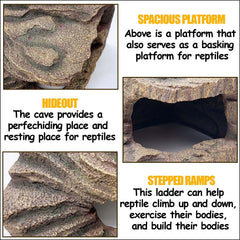 Kathson bearded dragon basking rocks offer sunning surface.