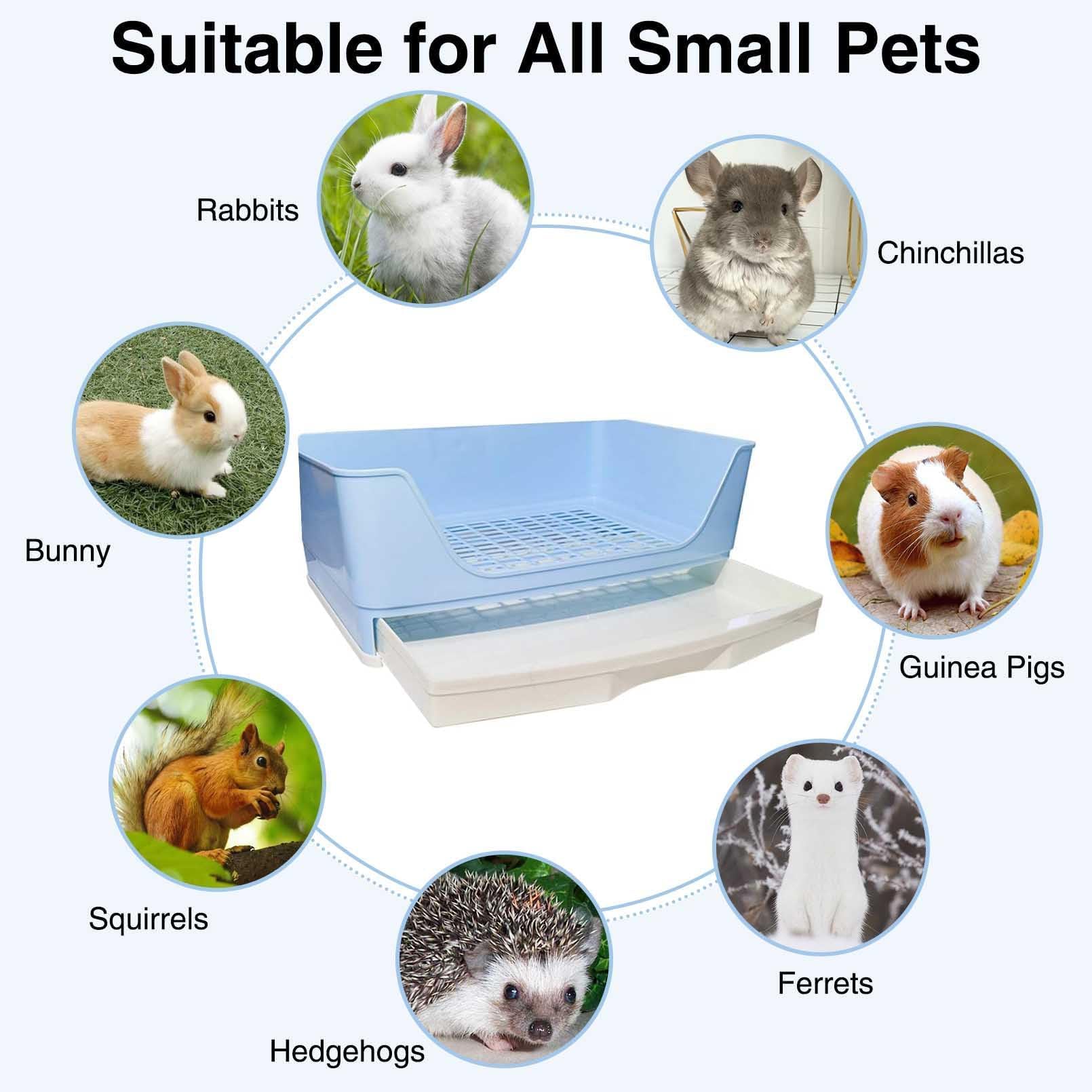 Kathson blue pet toilet with splash guard for tidy waste management