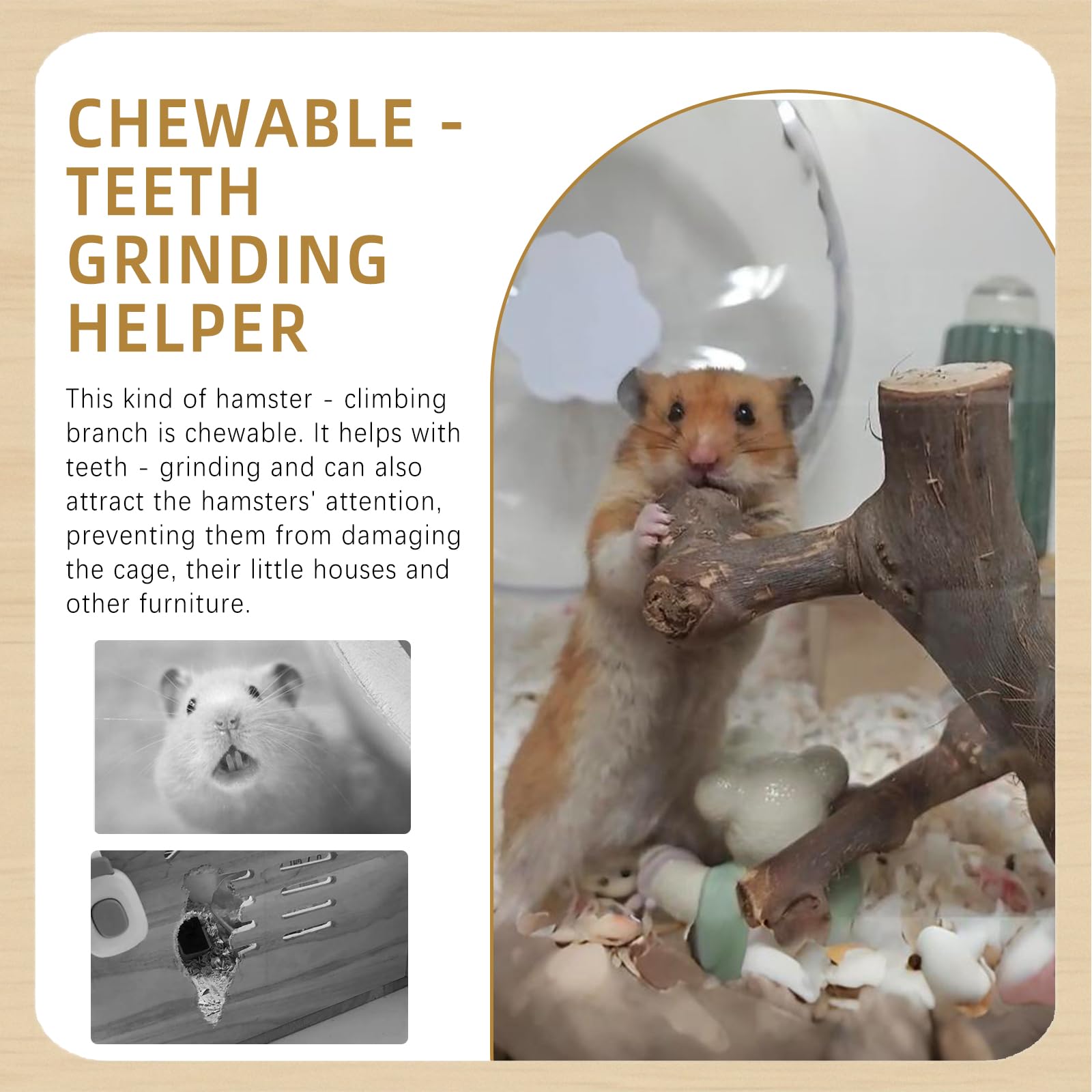 Kathson chewable branch supports natural gnawing behavior and keeps pets engaged.