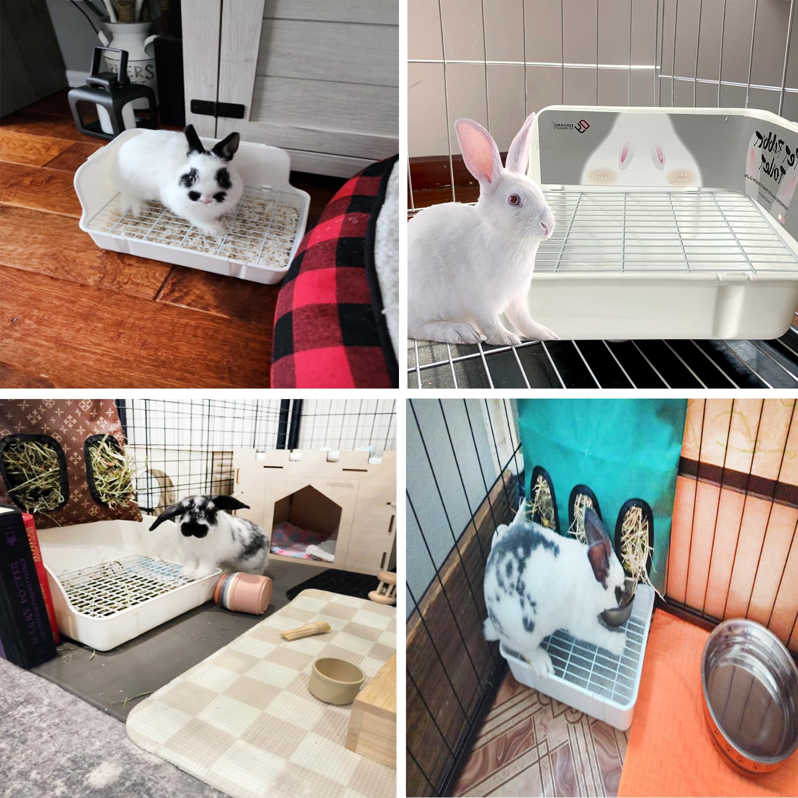 Kathson cleaning broom included for quick maintenance and tidy cages.