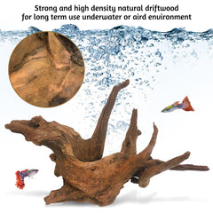 Kathson driftwood aquascape decor as a focal point in your tank.