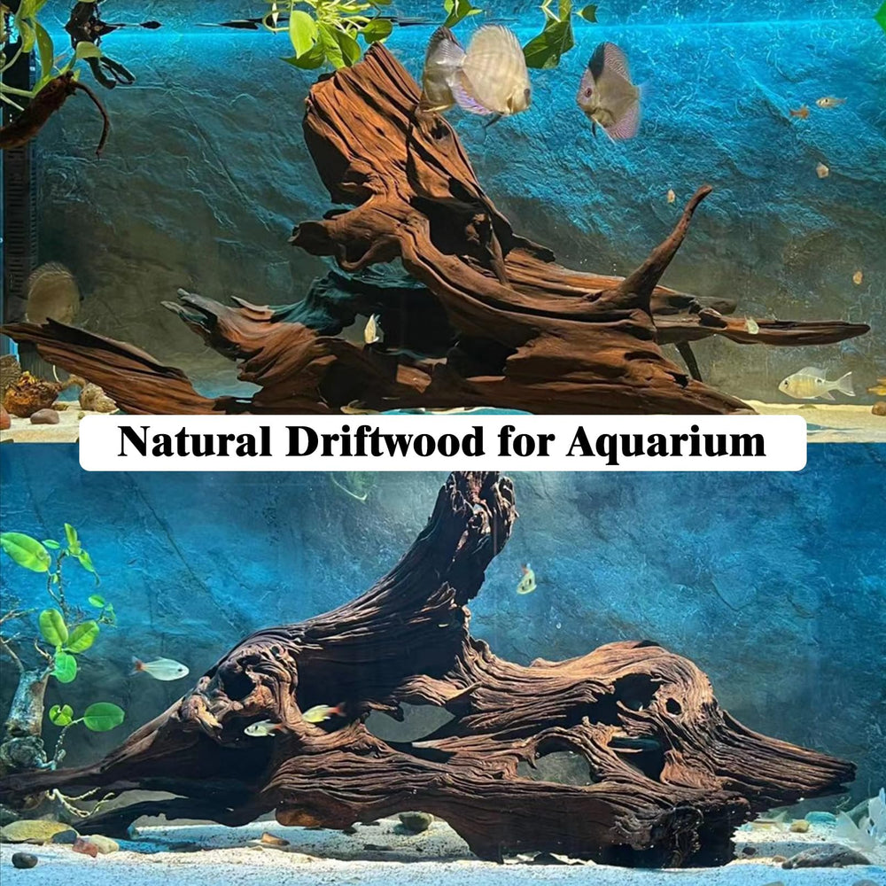 Kathson driftwood supports moss growth and moss trees in aquascapes.