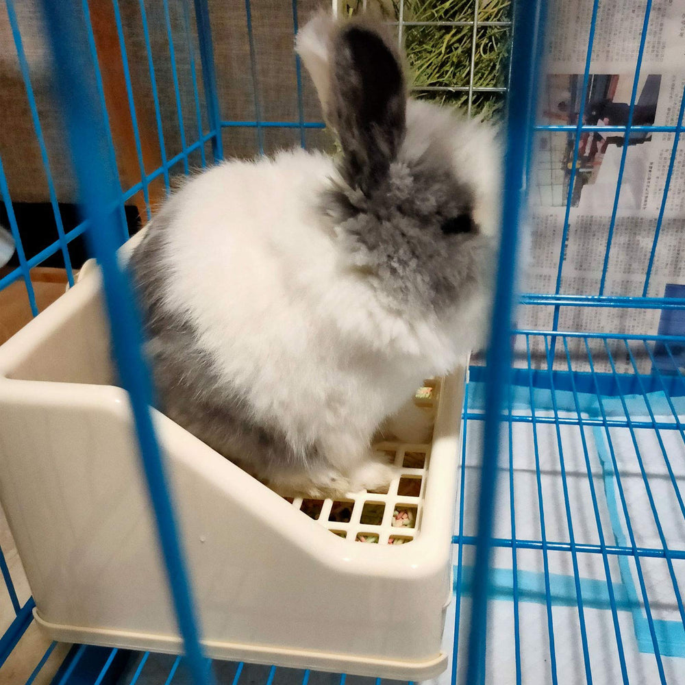 Kathson fixed-knob design secures the litter box to the cage.