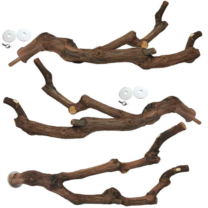 Kathson grapevine perch branch offers natural grip for small birds.