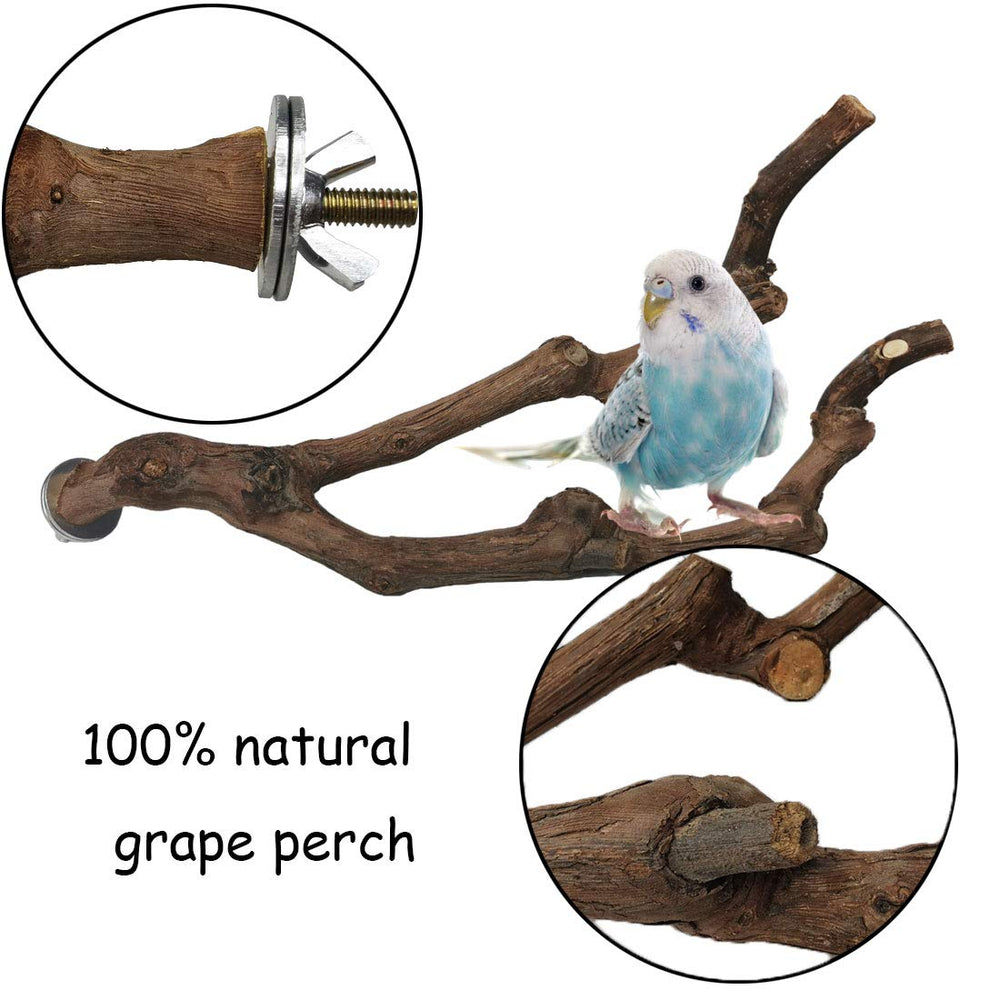 Kathson grapevine perch with textured surface enhances perching security.