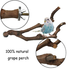 Kathson grapevine perch with textured surface enhances perching security.