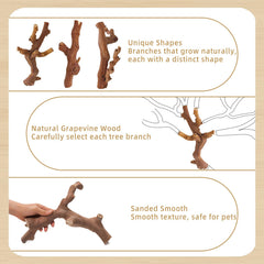 Kathson grapevine wood branch decor adds natural charm to the cage.