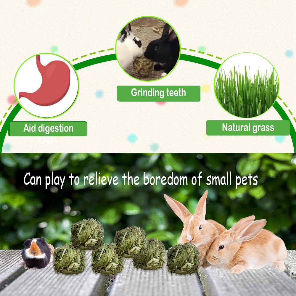 Kathson guinea pig chew ball made from Timothy hay for play and nibbling