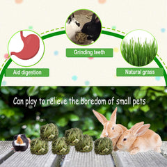 Kathson guinea pig chew ball made from Timothy hay for play and nibbling