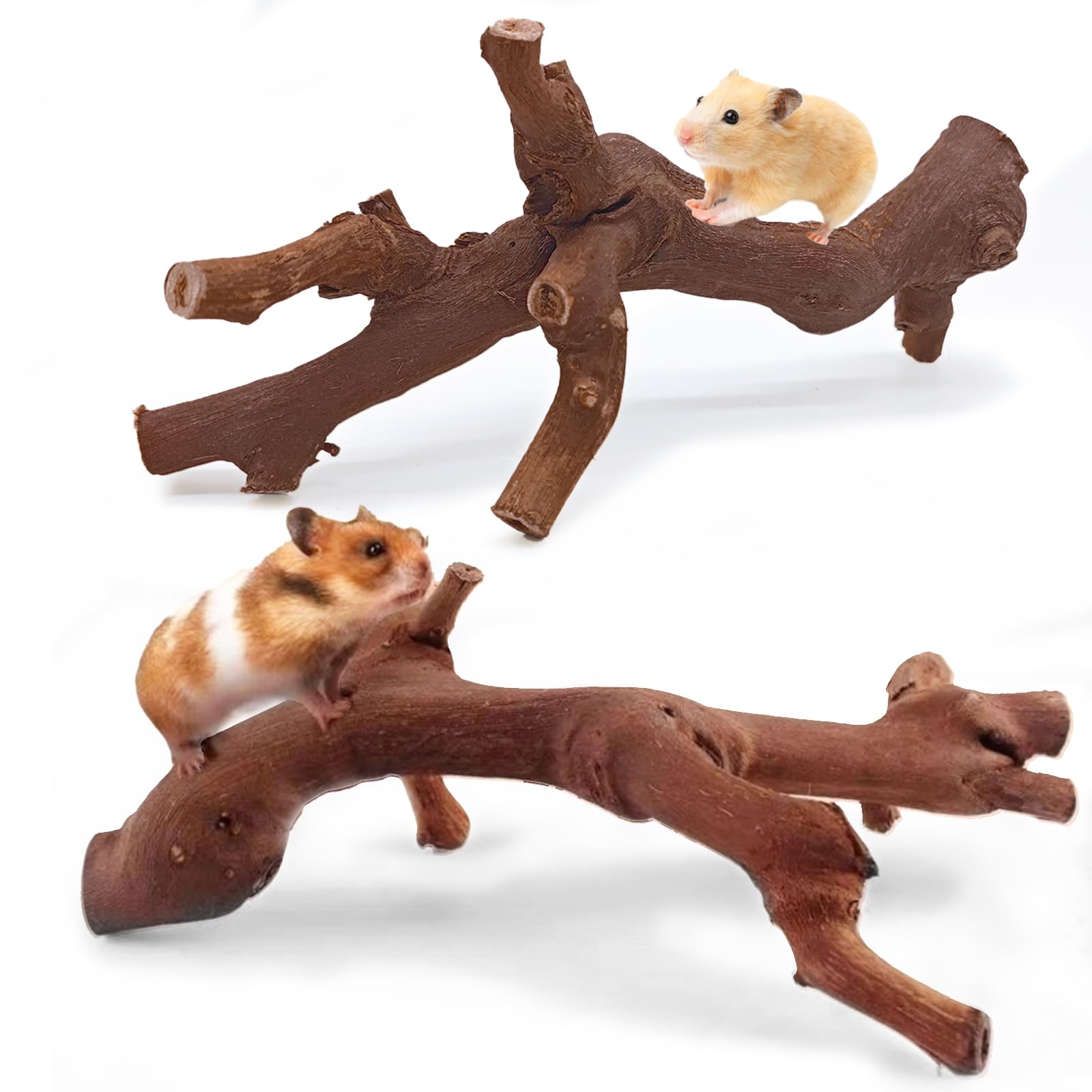 Kathson hamster climbing branch close-up showing natural grapevine texture for safe chewing.