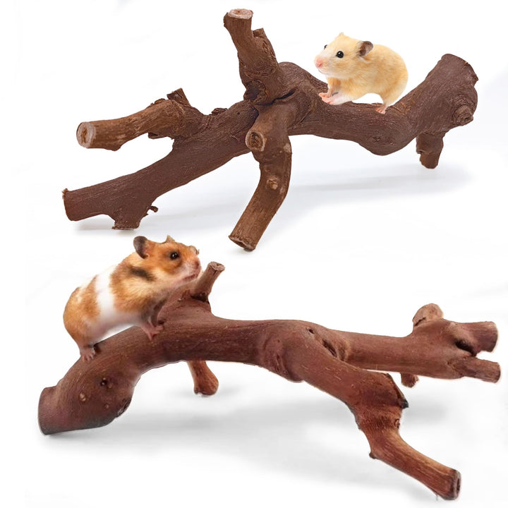 Kathson hamster climbing branch close-up showing natural grapevine texture for safe chewing.