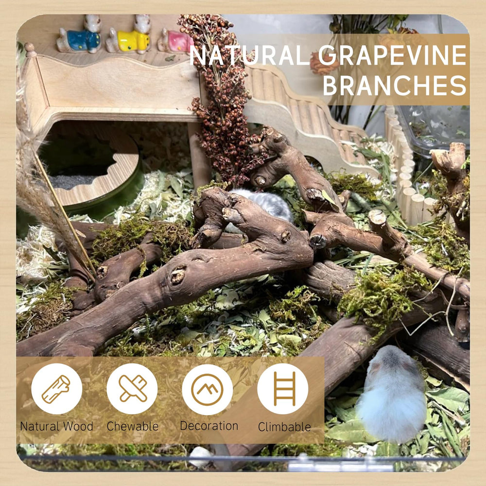 Kathson two-pack branches in habitat setup encourage climbing and exploration for small pets.